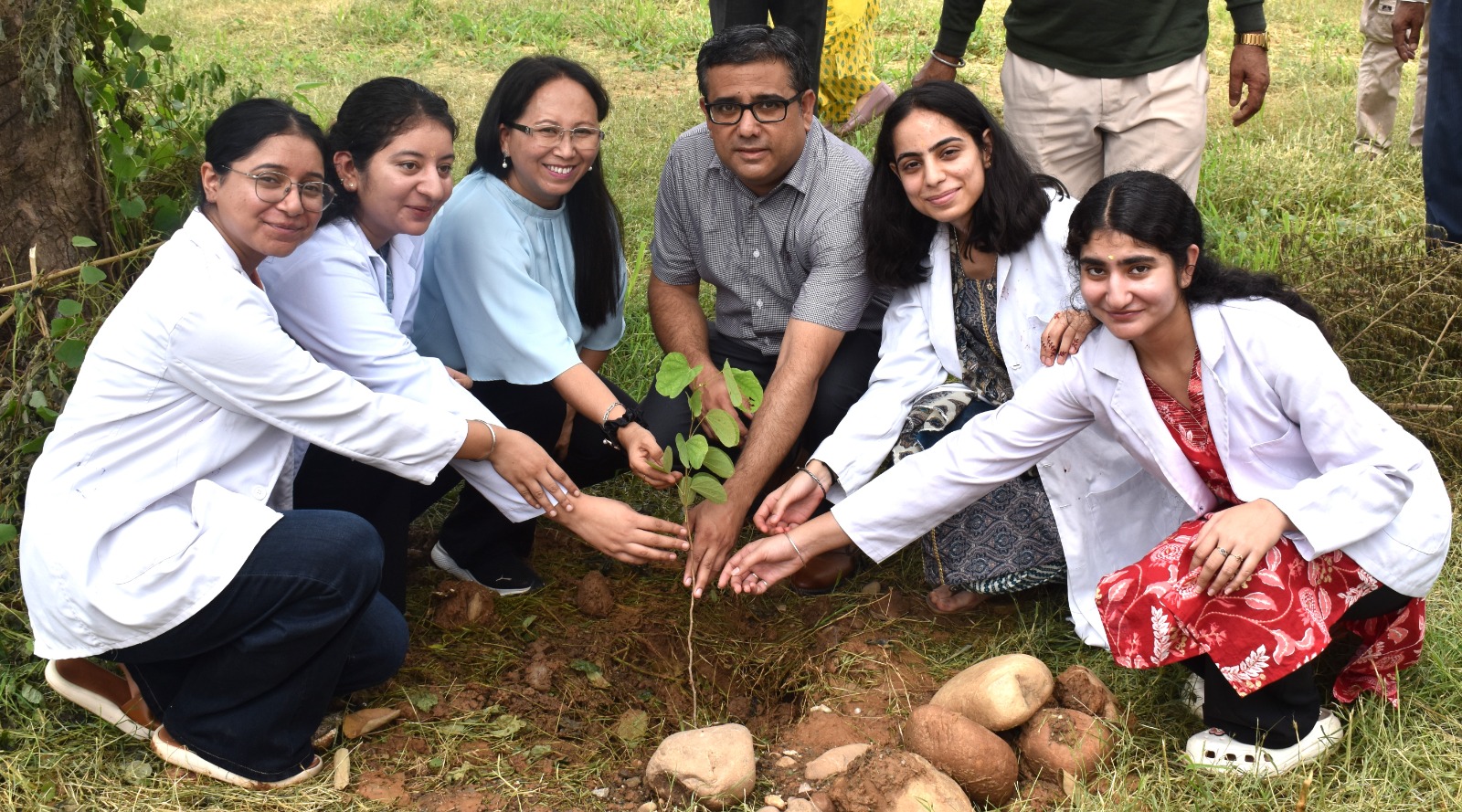 Plantation Drive